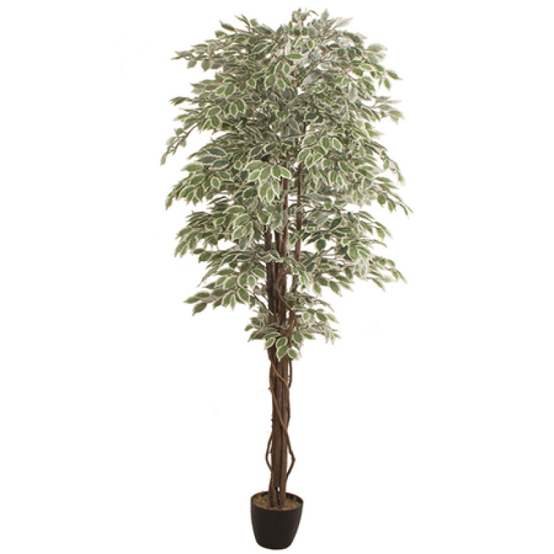 Kunsttaim FICUS 2.40m